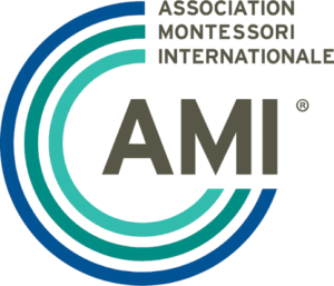ami logo